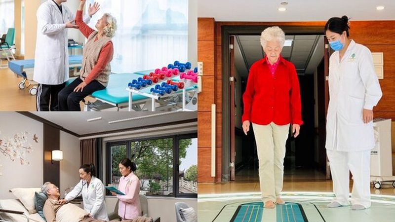 护理手套的规格与型号：揭秘养老护理中的安全守护者
